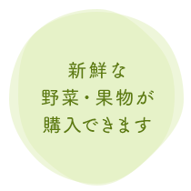 新鮮な野菜・果物が購入できます