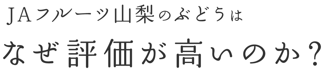 JAフルーツ山梨のぶどうはなぜ評価が高いのか？