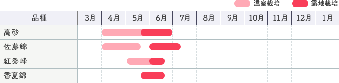 主要品種の出回り時期